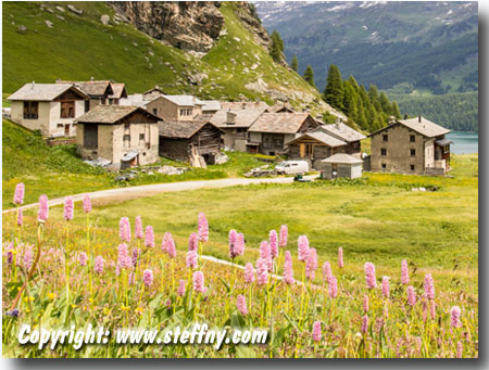 Grevasalvas - das Heididorf bei St.Moritz